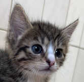 Ralf